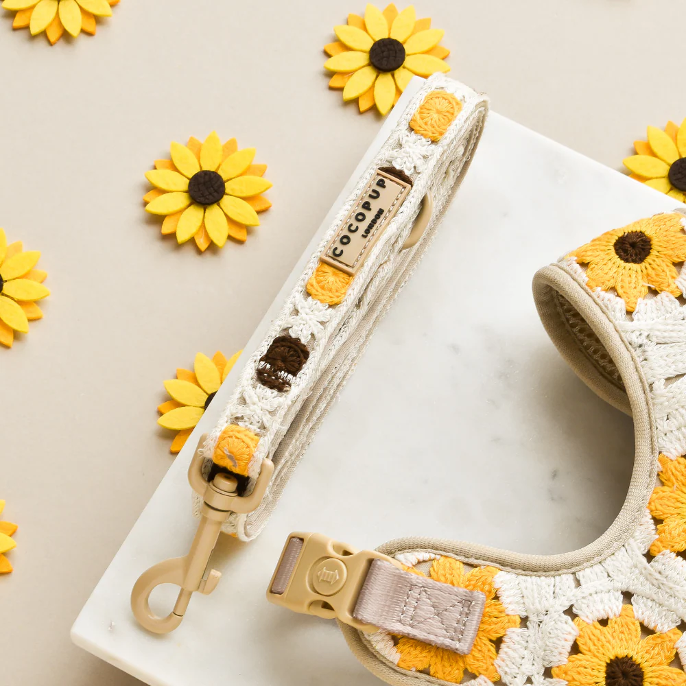 Sunflower Patch Adjustable Neck Harness, Lead & Collar Bundle - Image 4