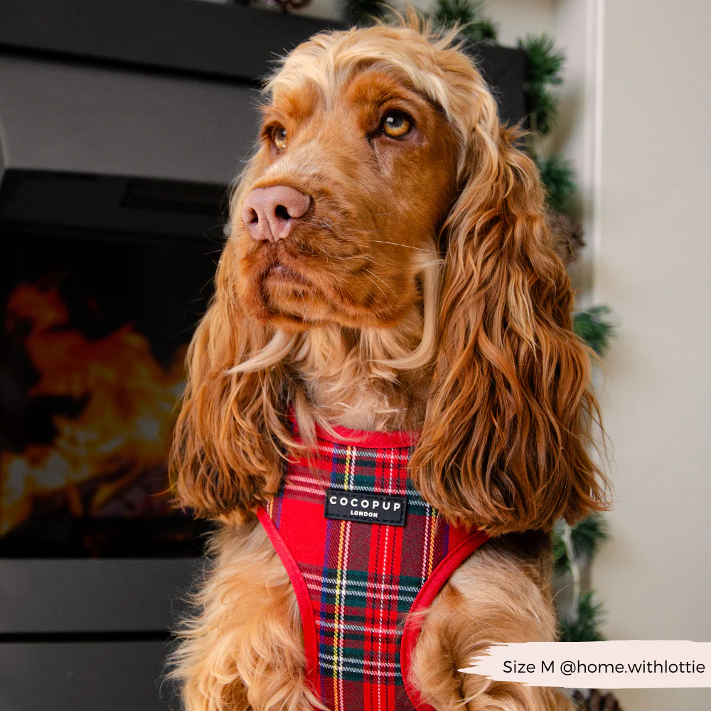Tartan Adjustable Neck HARNESS - Image 5