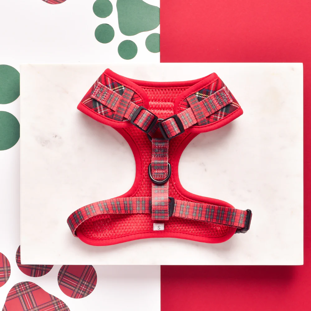Tartan Adjustable Neck Harness, Lead & Collar Bundle - Image 4