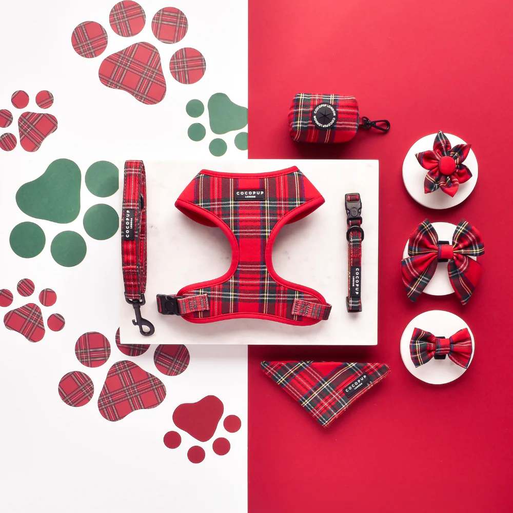 Tartan Bandana - Image 3