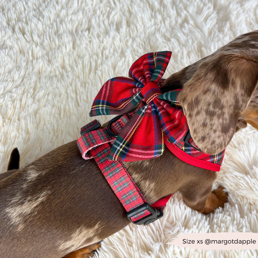 Tartan Sailor Bow Tie - Image 4