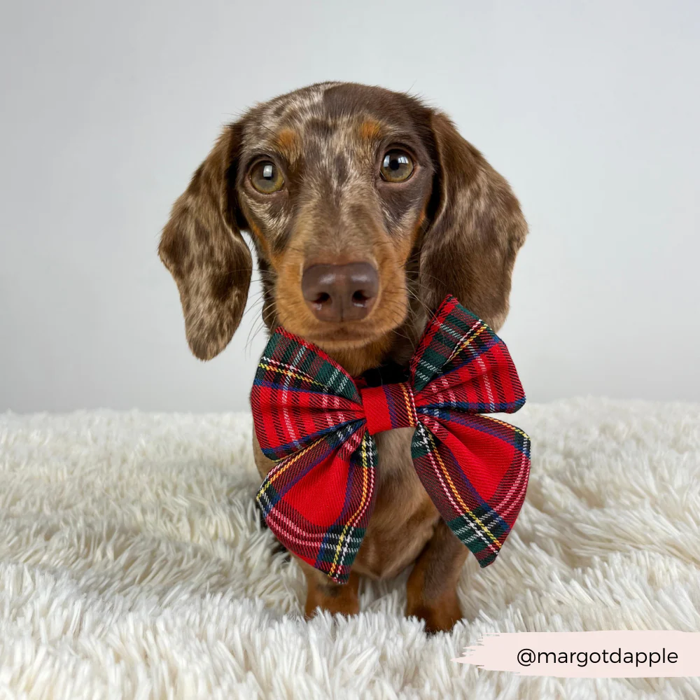 Tartan Sailor Bow Tie - Image 5