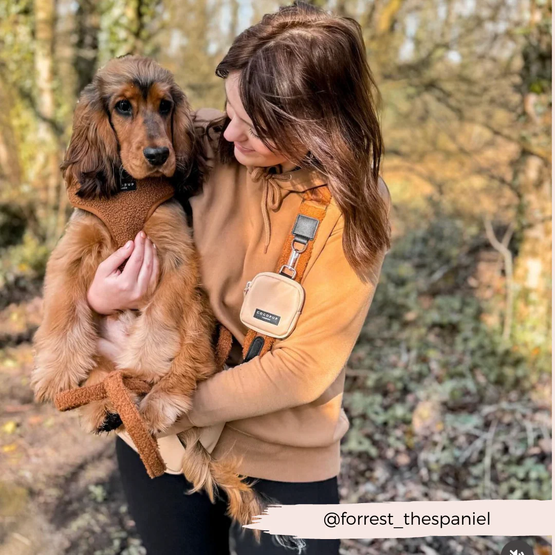 Teddy Adjustable Neck HARNESS - Paddington - Image 27