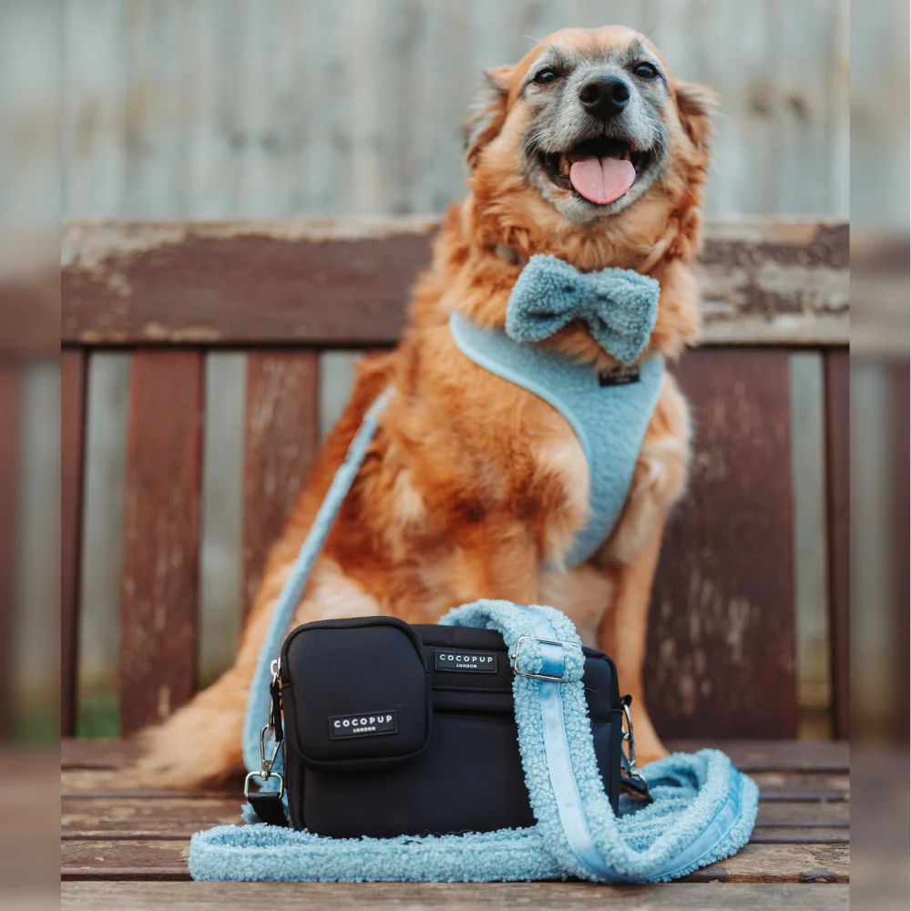 Teddy Bag Strap - Daydream - Image 4