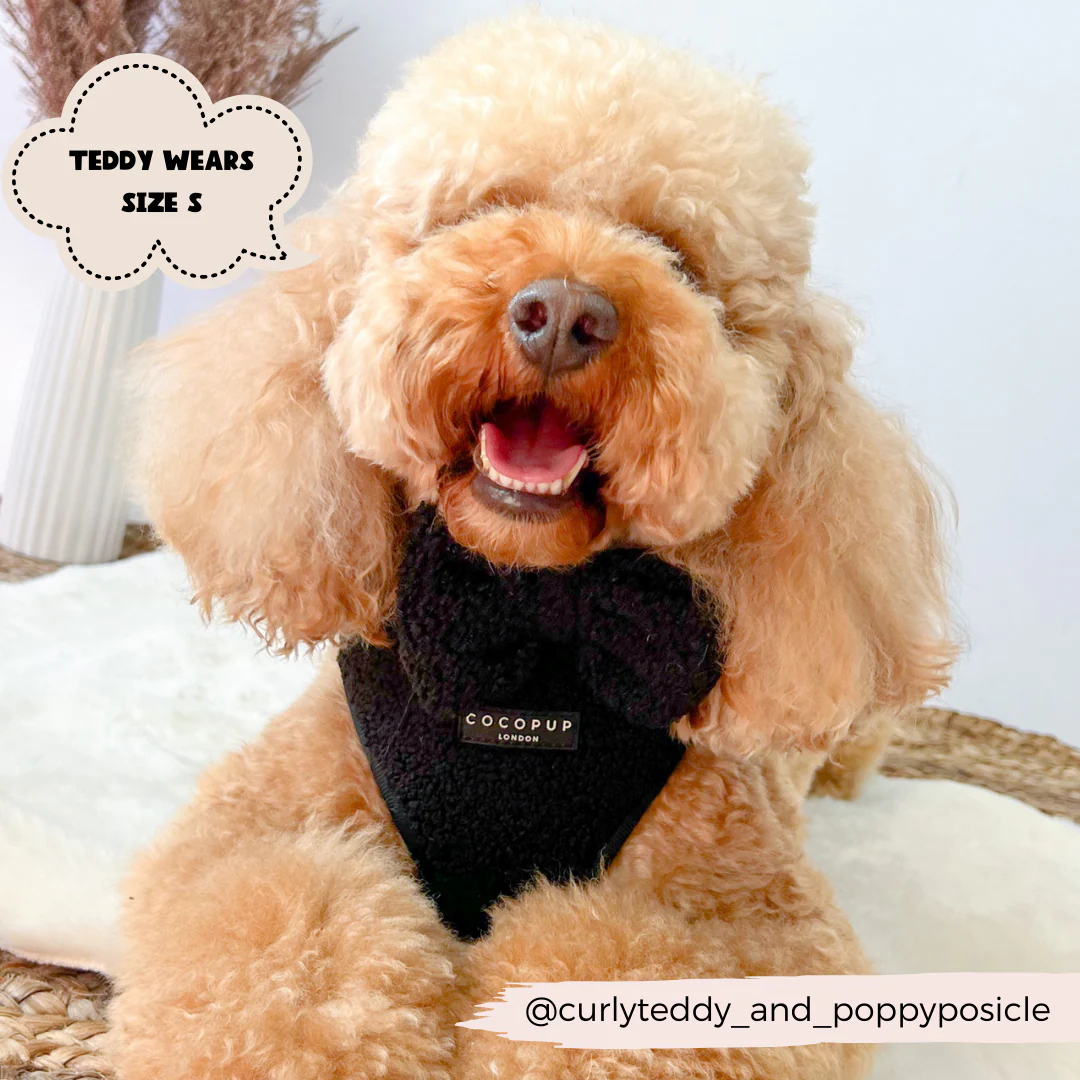 Teddy Baloo Adjustable Neck Harness, Lead & Collar Bundle - Image 13