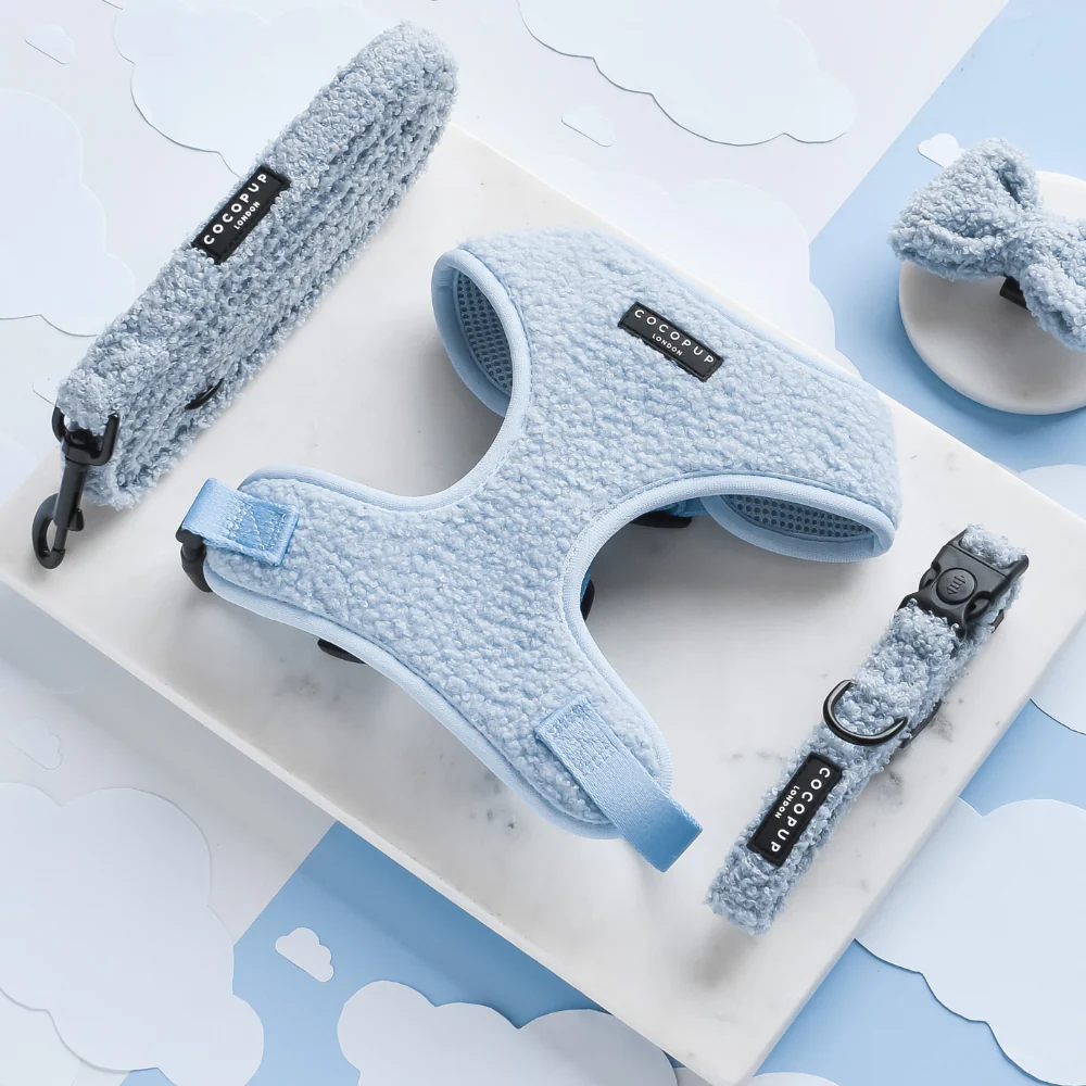 Teddy Daydream Adjustable Neck Harness, Lead & Collar Bundle