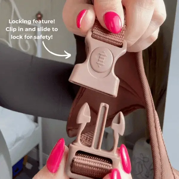 Teddy Daydream Adjustable Neck Harness, Lead & Collar Bundle - Image 12