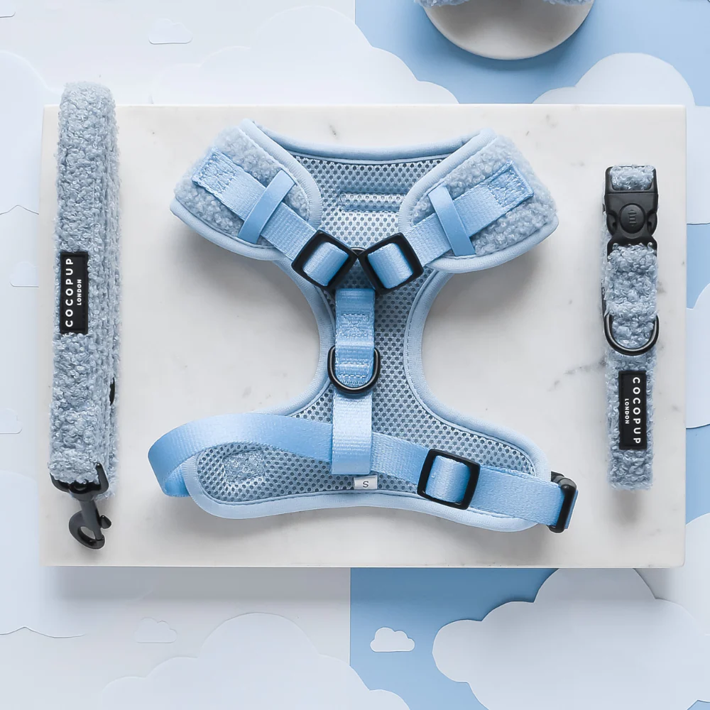 Teddy Daydream Adjustable Neck Harness, Lead & Collar Bundle - Image 2