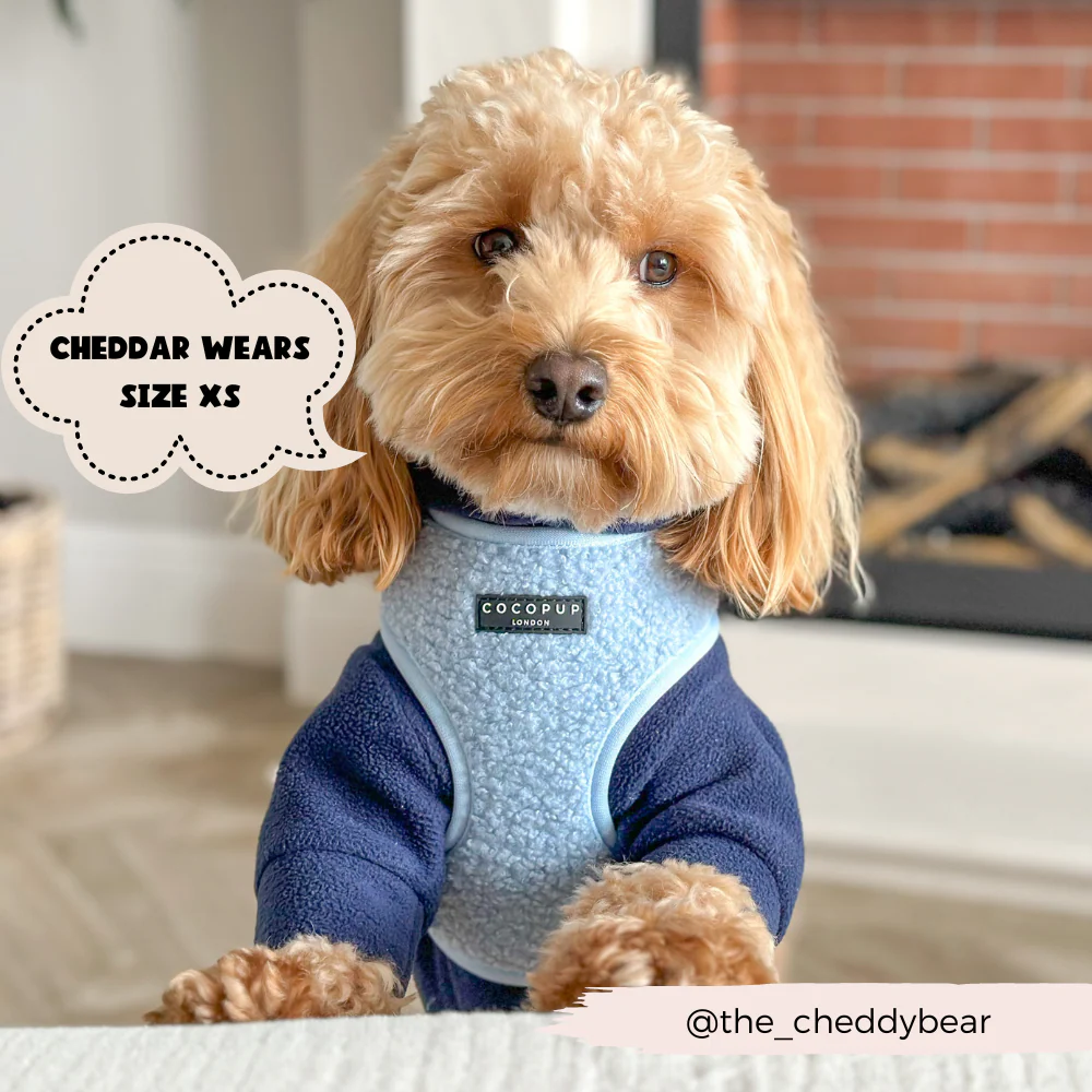 Teddy Daydream Adjustable Neck Harness, Lead & Collar Bundle - Image 6