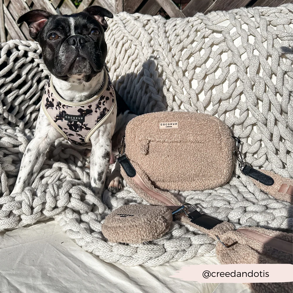 Dog Walking Bag - Teddy Rupert - Image 11