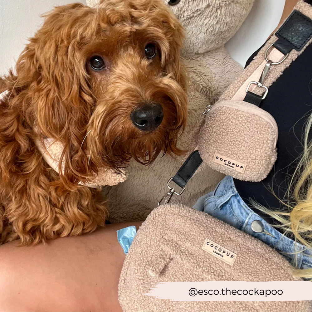 Dog Walking Bag - Teddy Rupert - Image 12