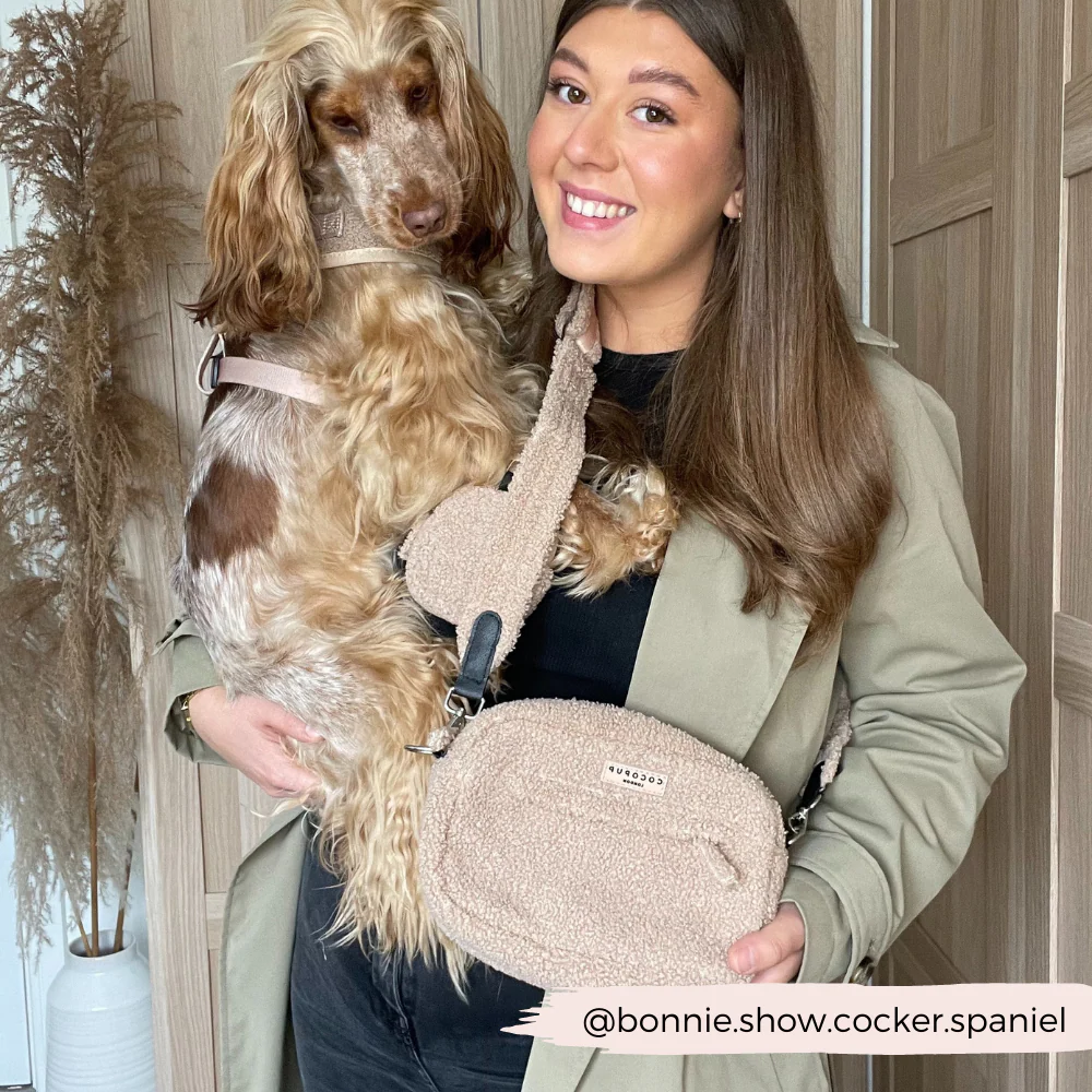 Dog Walking Bag - Teddy Rupert - Image 14