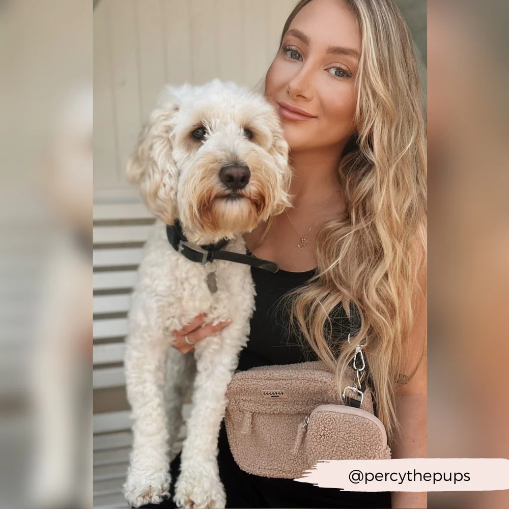 Dog Walking Bag - Teddy Rupert - Image 15