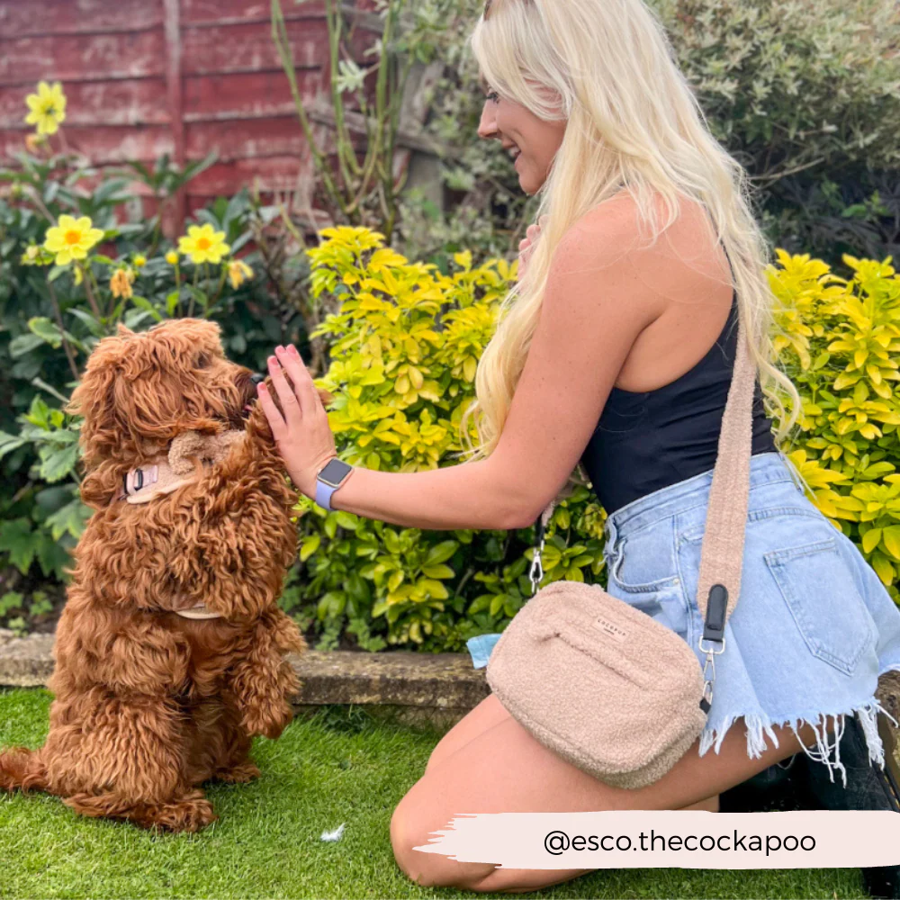 Dog Walking Bag - Teddy Rupert - Image 16