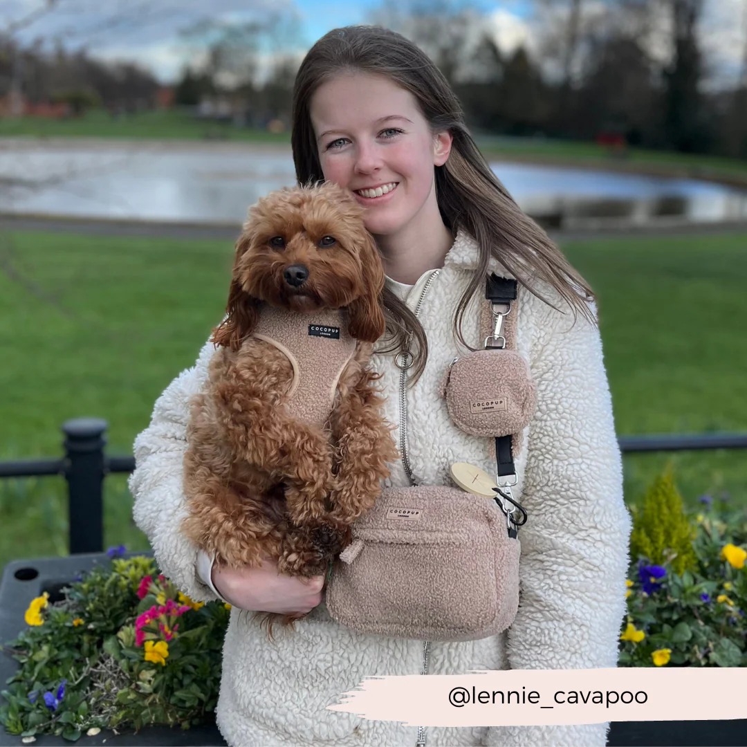 Dog Walking Bag - Teddy Rupert - Image 21