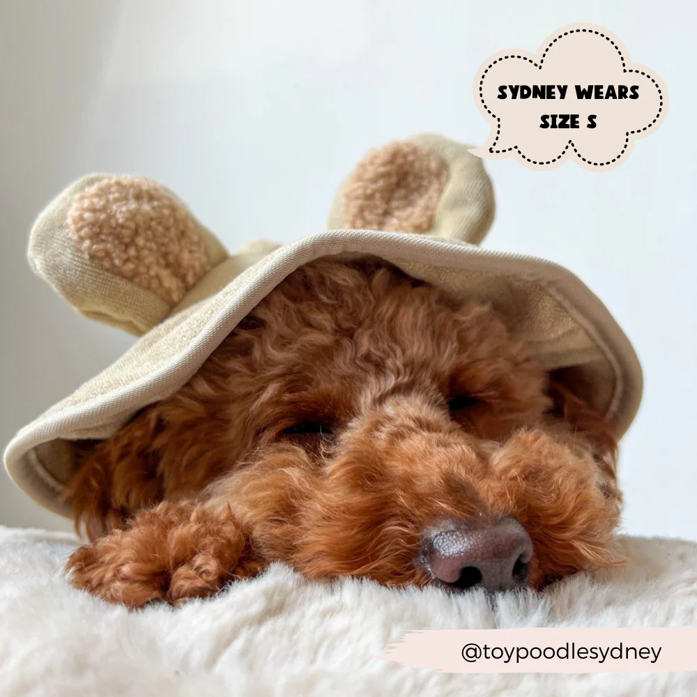Teddy Drying Robe - Image 16