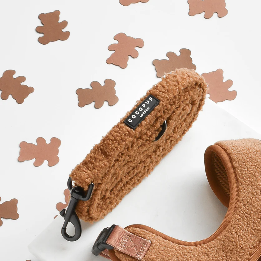 Teddy Paddington Adjustable Neck Harness, Lead & Collar Bundle - Image 5