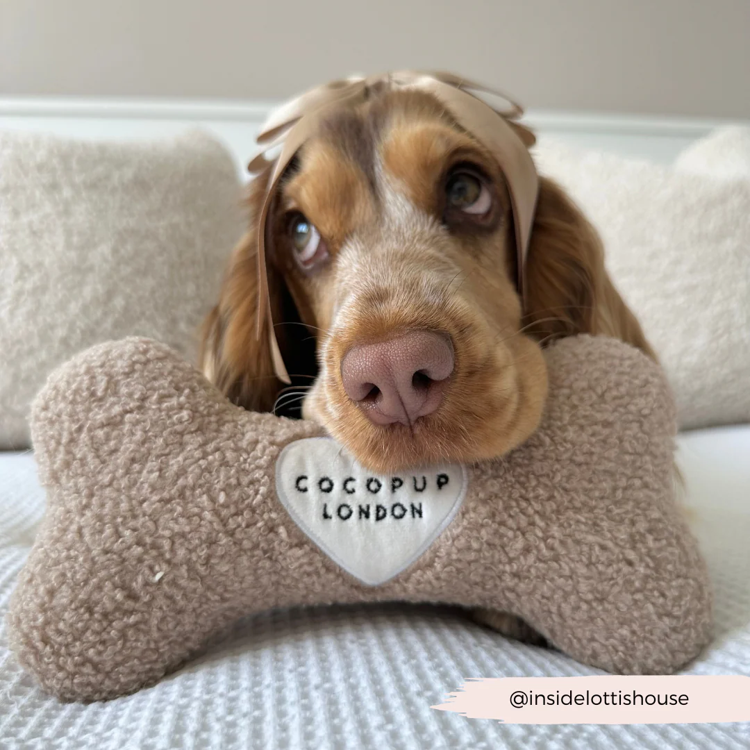 Teddy Rupert Bone Toy - Image 10