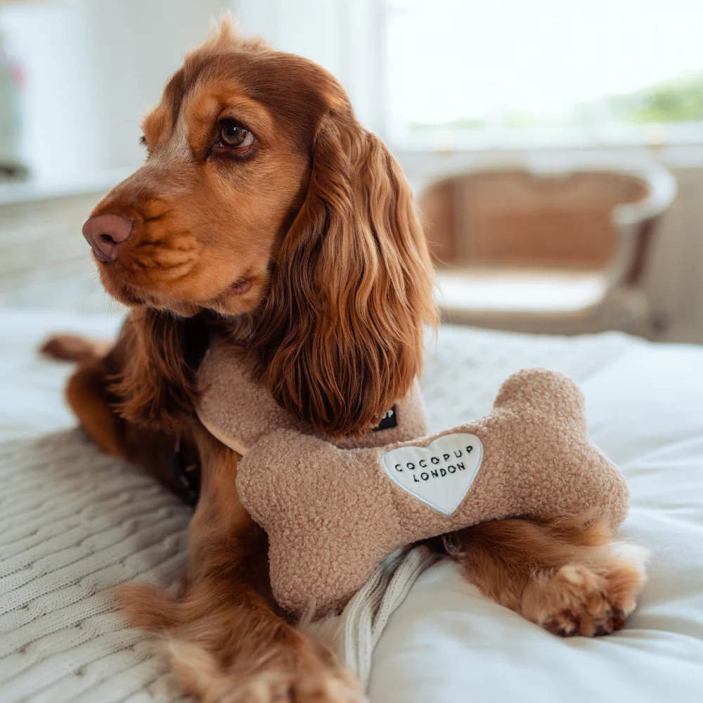 Teddy Rupert Bone Toy - Image 7
