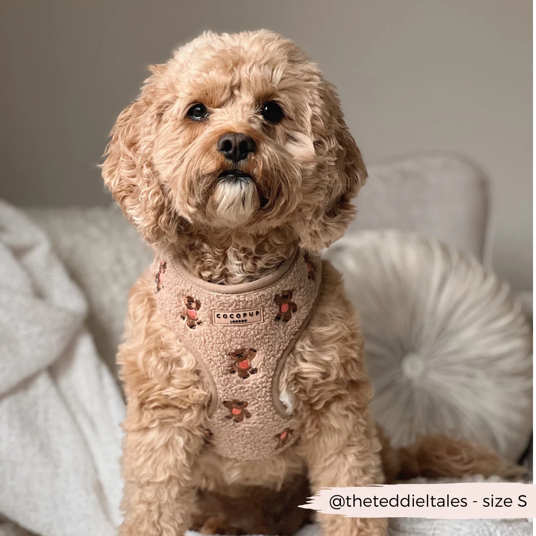 Theo Embroidered Teddy Adjustable Neck HARNESS - Image 13