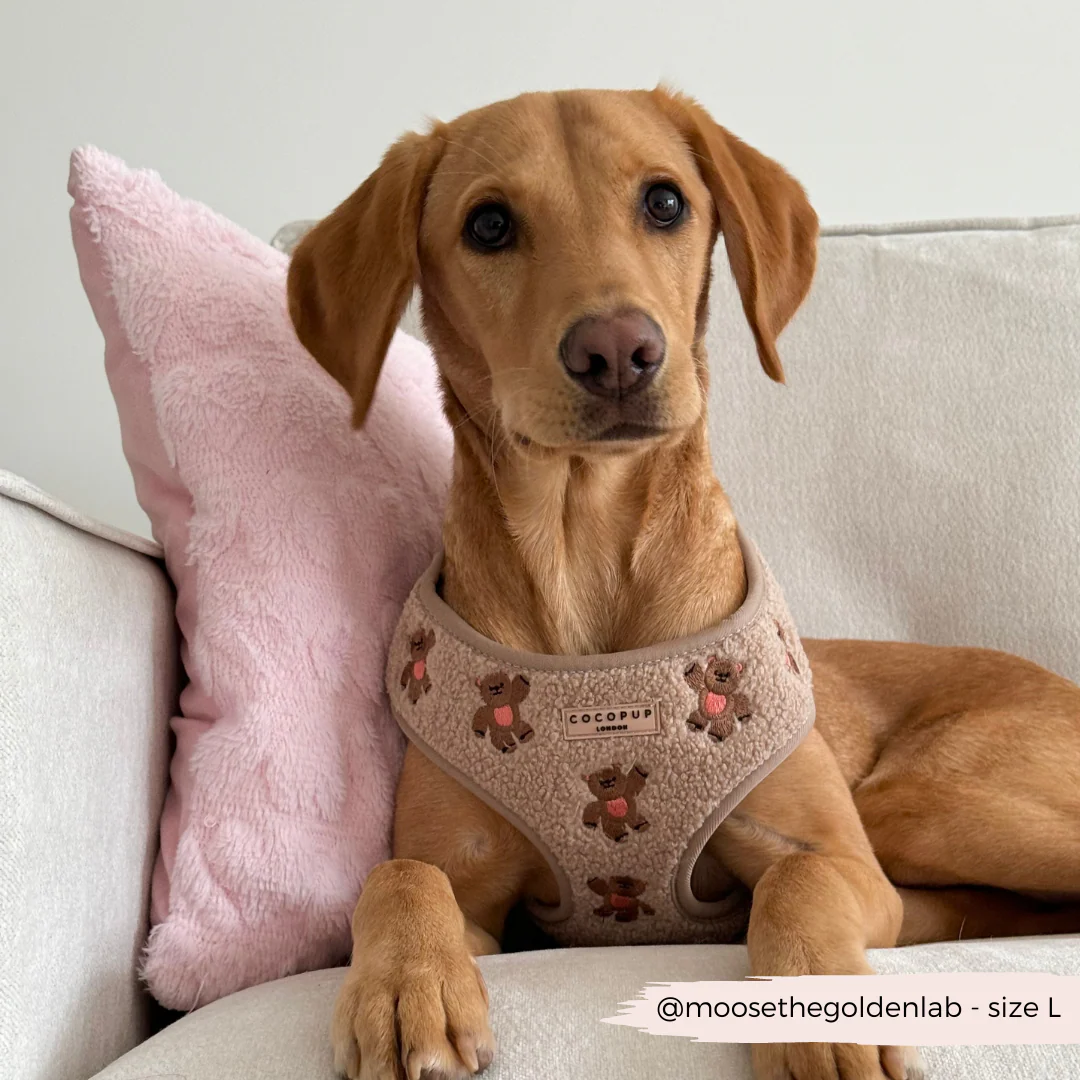 Theo Embroidered Teddy Adjustable Neck HARNESS - Image 15