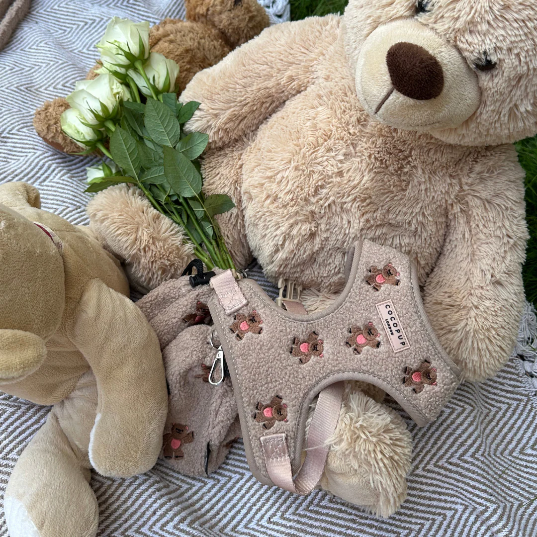 Theo Embroidered Teddy Adjustable Neck HARNESS - Image 17