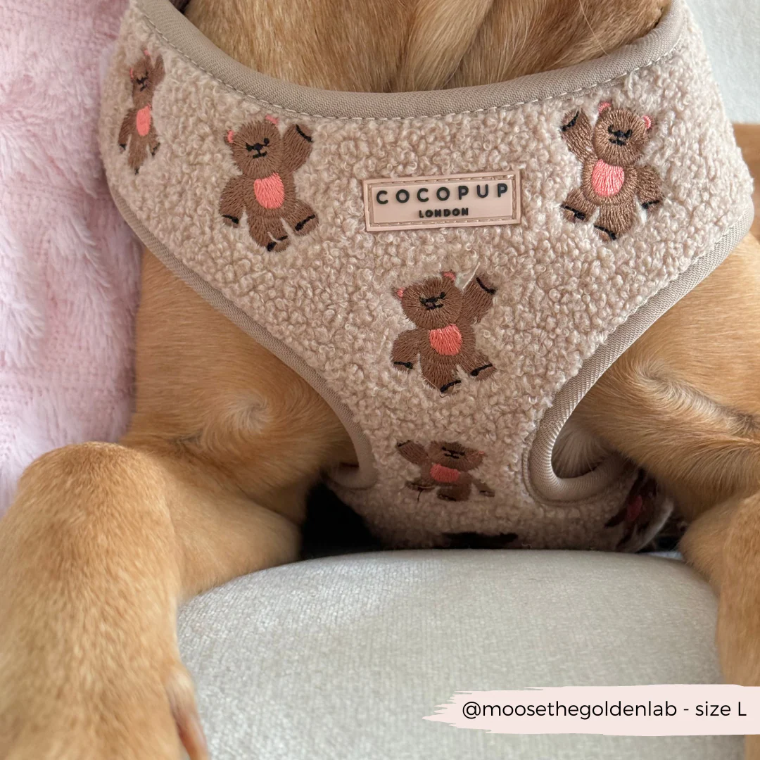 Theo Embroidered Teddy Adjustable Neck HARNESS - Image 24