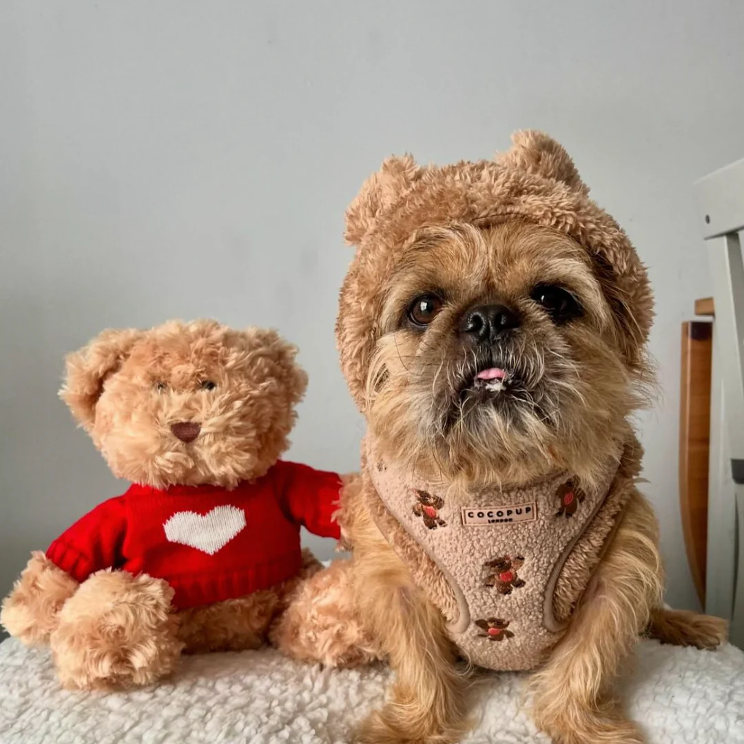 Theo Embroidered Teddy Adjustable Neck HARNESS - Image 33