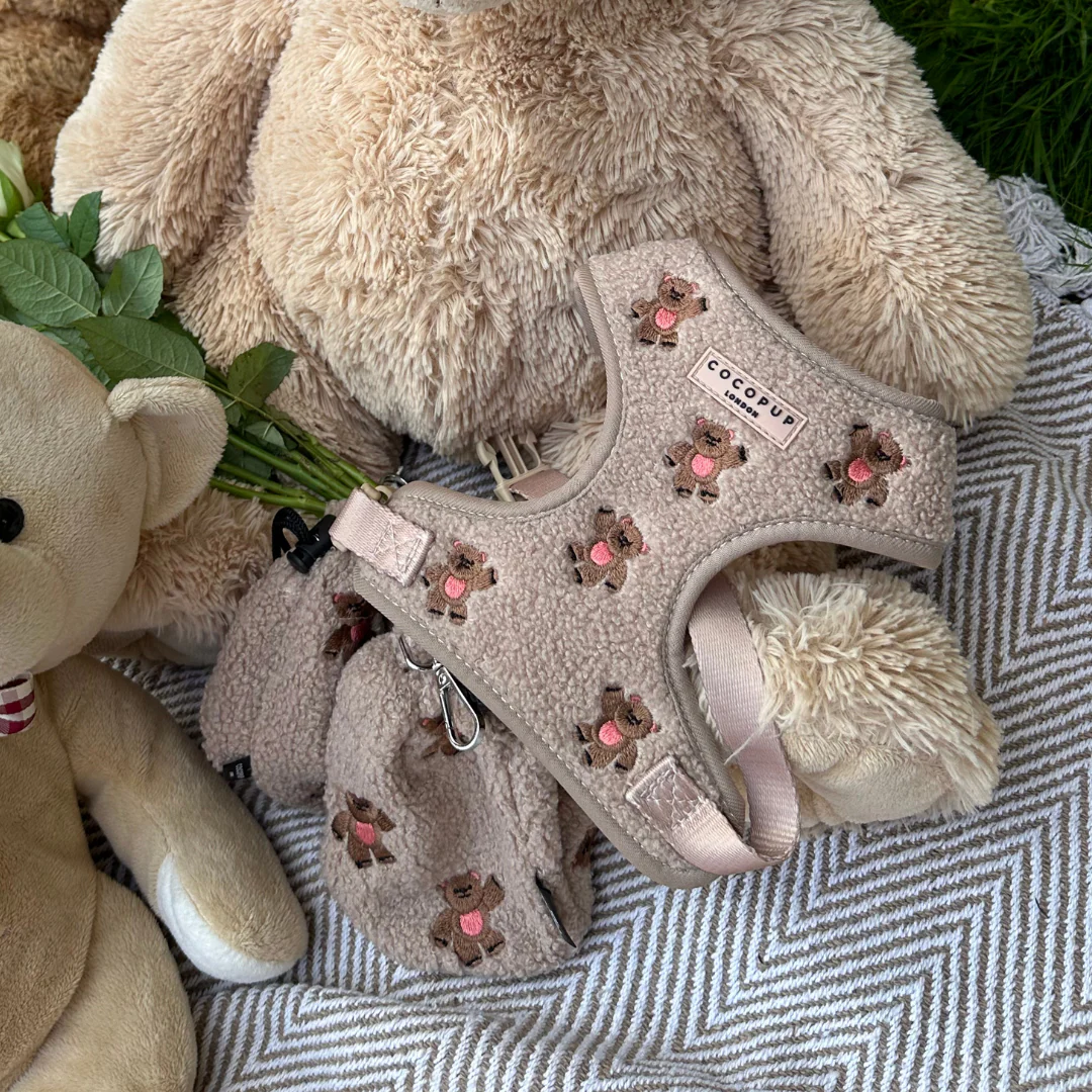 Theo Embroidered Teddy Adjustable Neck Harness, Lead & Collar Bundle - Image 20