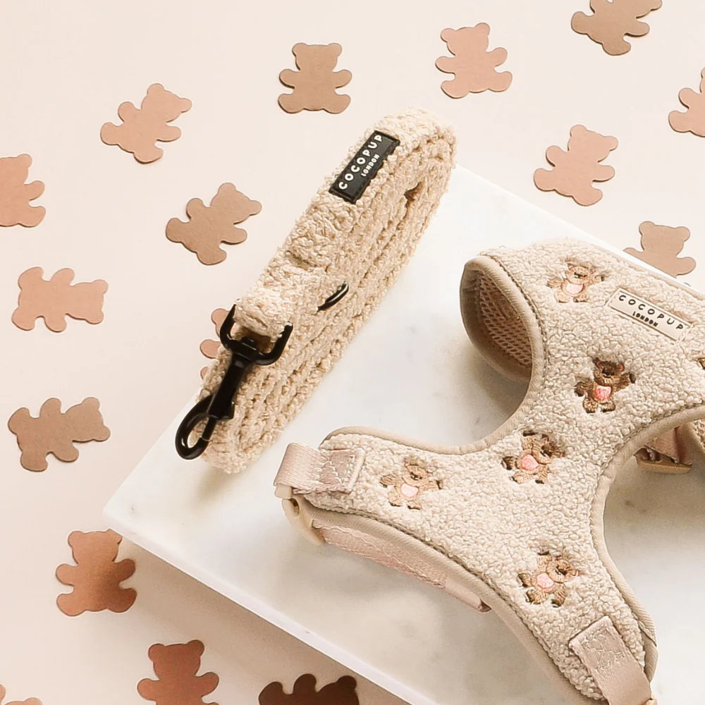 Theo Embroidered Teddy Adjustable Neck Harness, Lead & Collar Bundle - Image 3