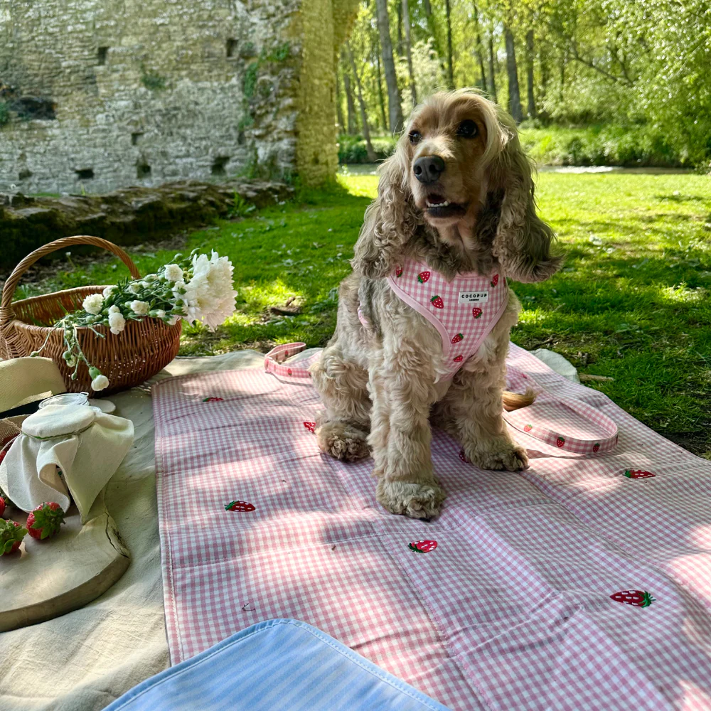 Travel Mat & Blanket Set - Strawberry Picnic Pup - Image 15