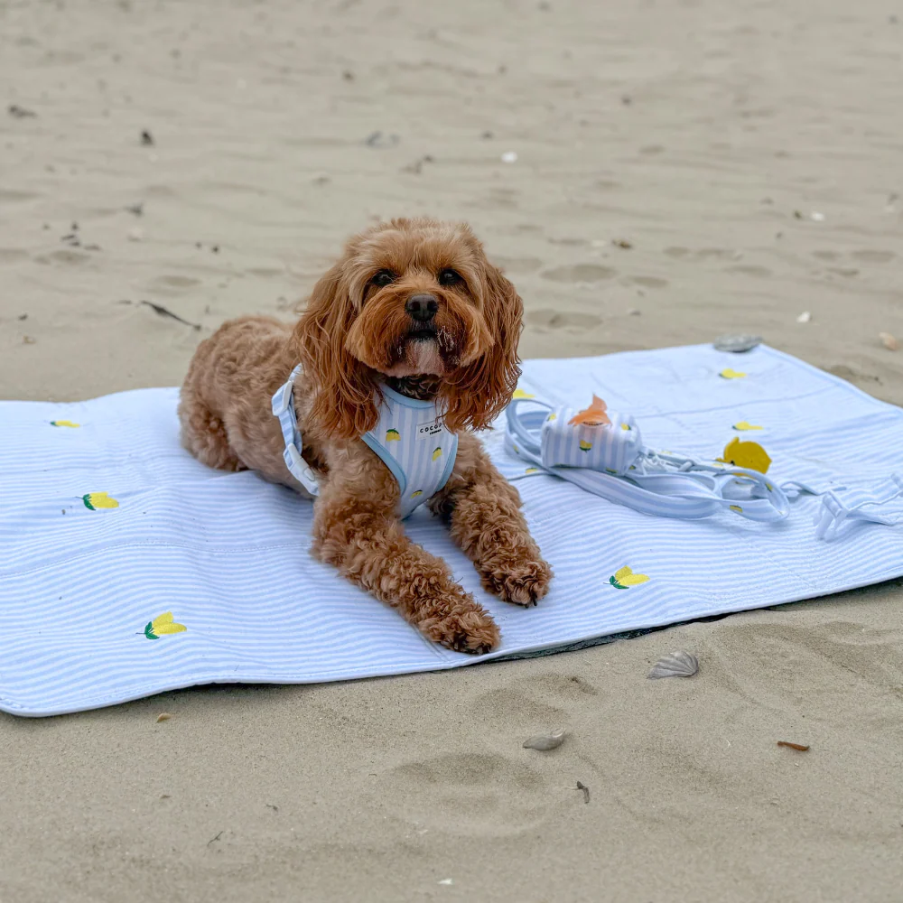 Travel Mat - Living La Vida Lemon - Image 11