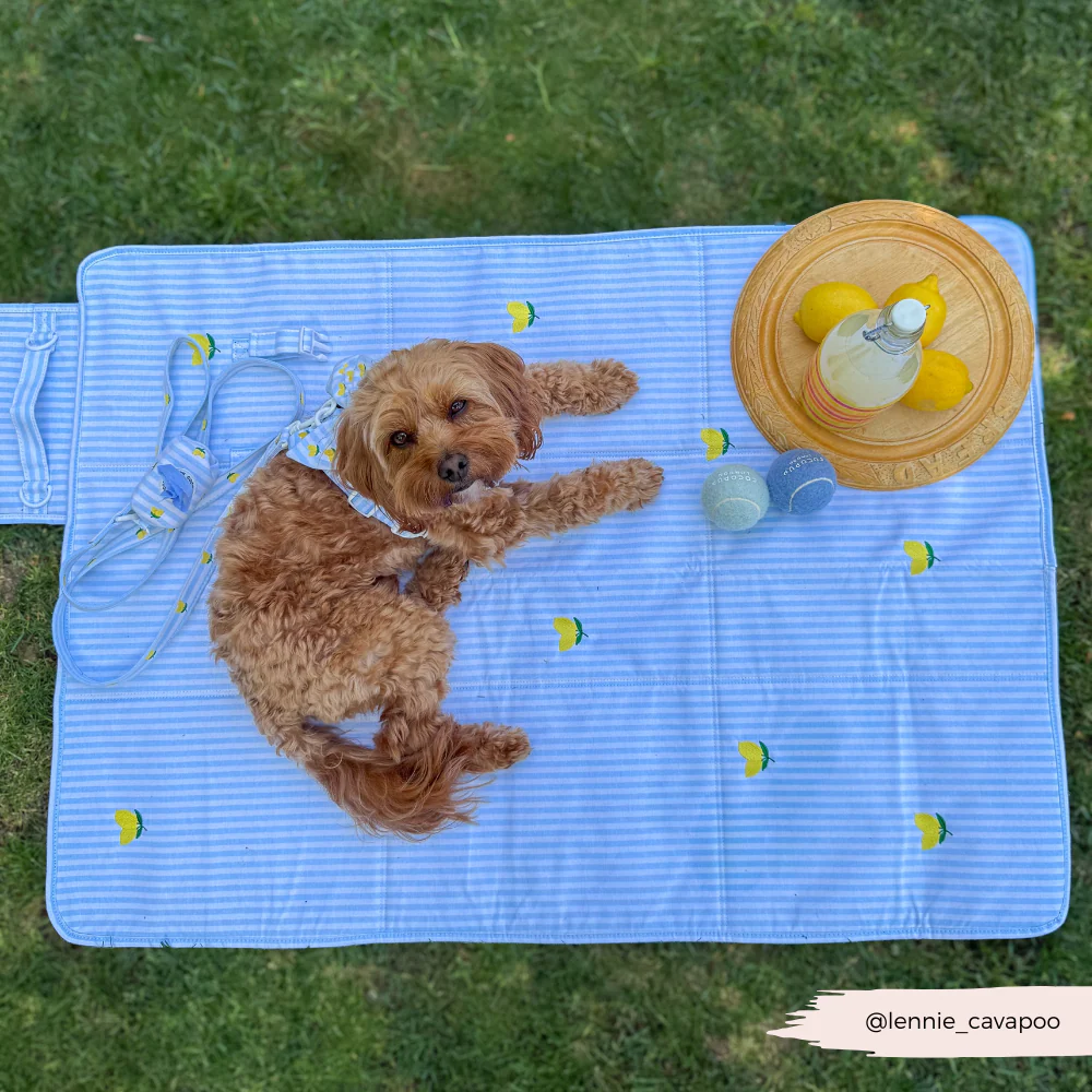 Travel Mat - Living La Vida Lemon - Image 13