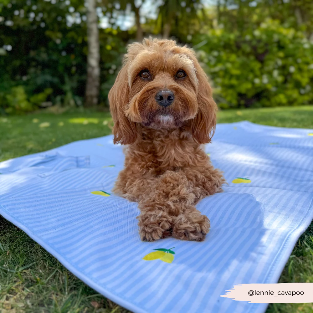Travel Mat - Living La Vida Lemon - Image 14
