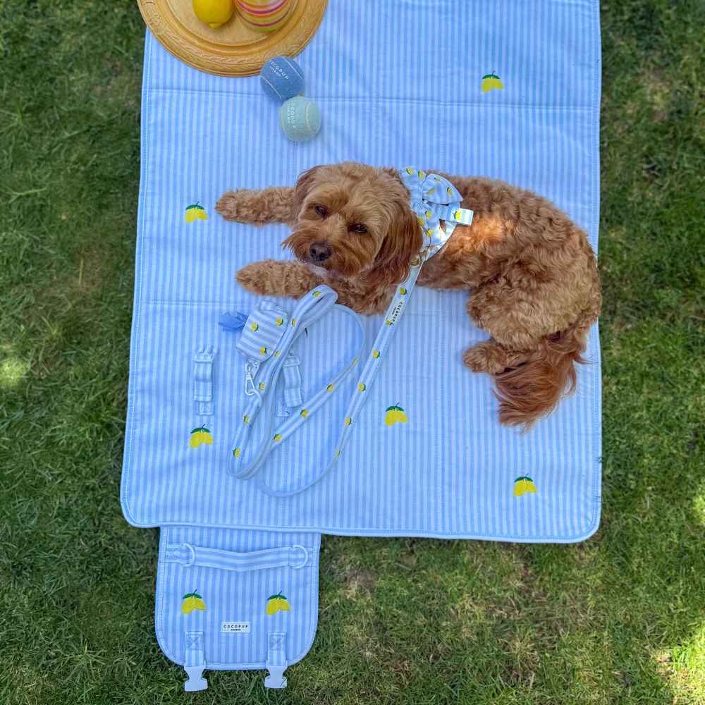 Travel Mat - Living La Vida Lemon - Image 7
