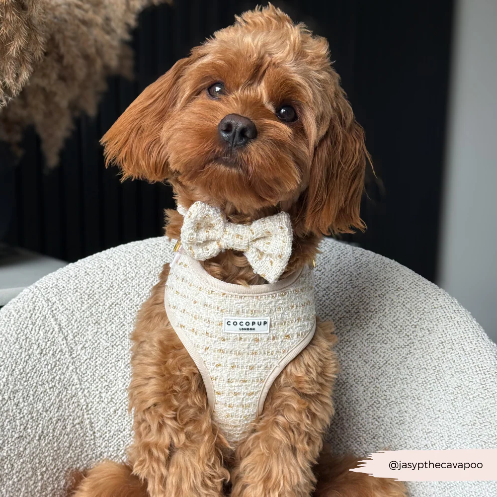 Vanilla Textured Tweed Bow Tie - Image 6
