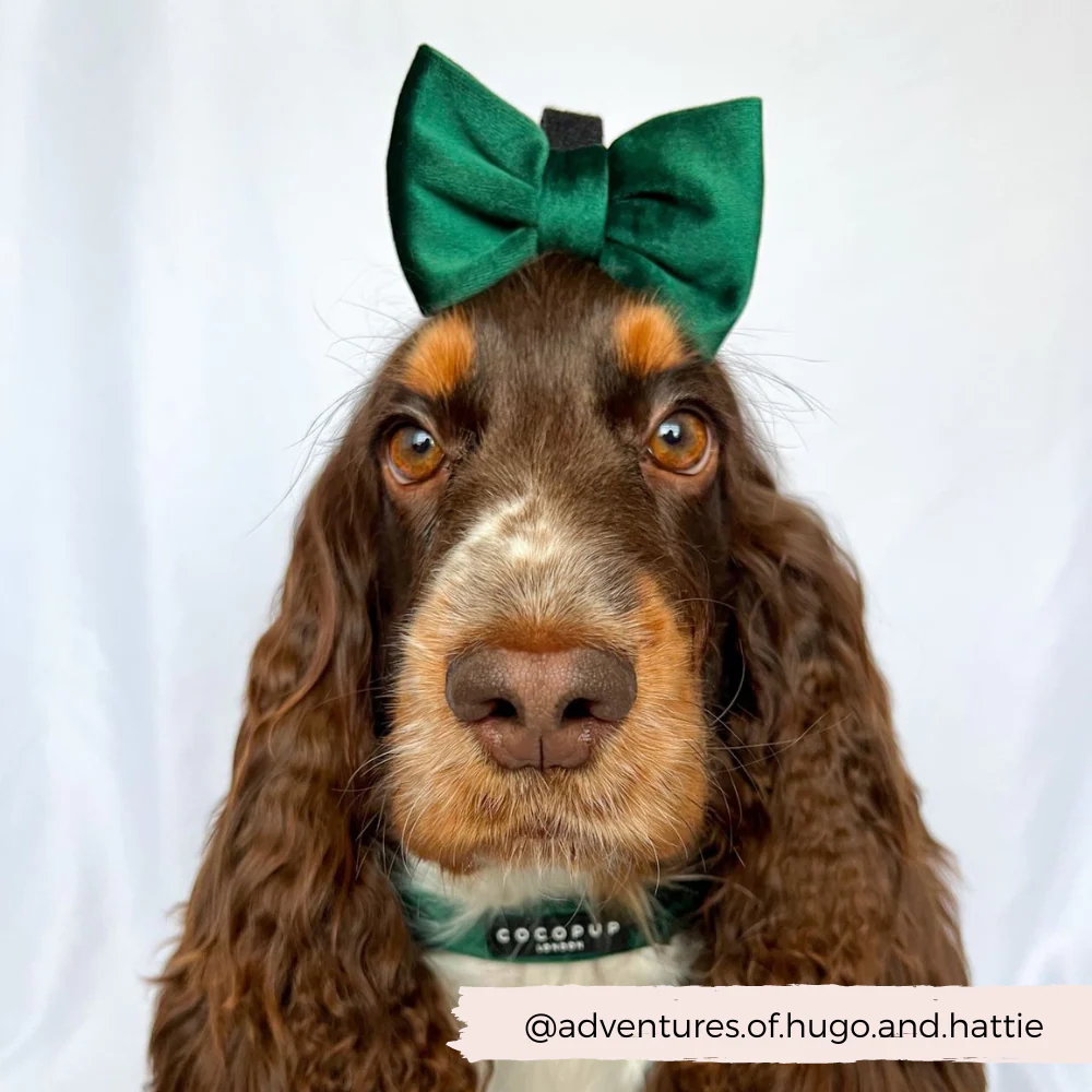 LUXE Velvet Bow Tie - Forest Green - Image 3